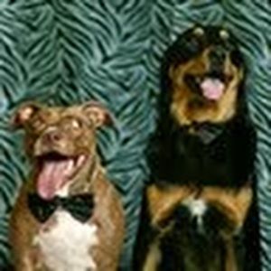 Meet your Posher, Kristin